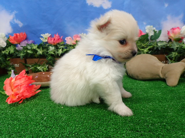 赤ちゃん写真2-2