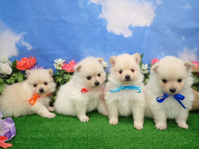 赤ちゃん写真2-3