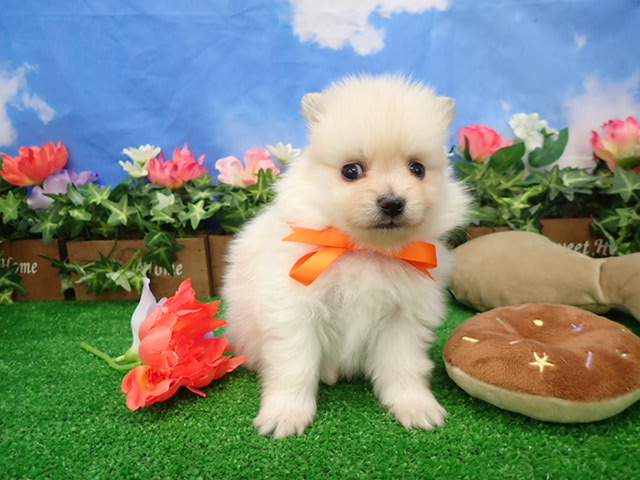 赤ちゃん写真2-1