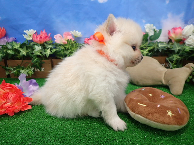 赤ちゃん写真2-2