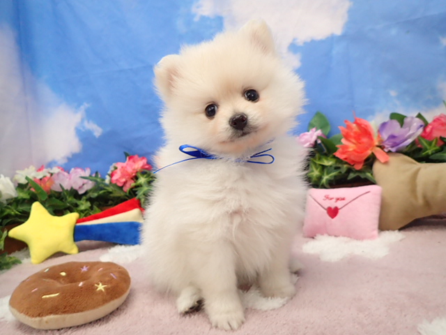 赤ちゃん写真3-1