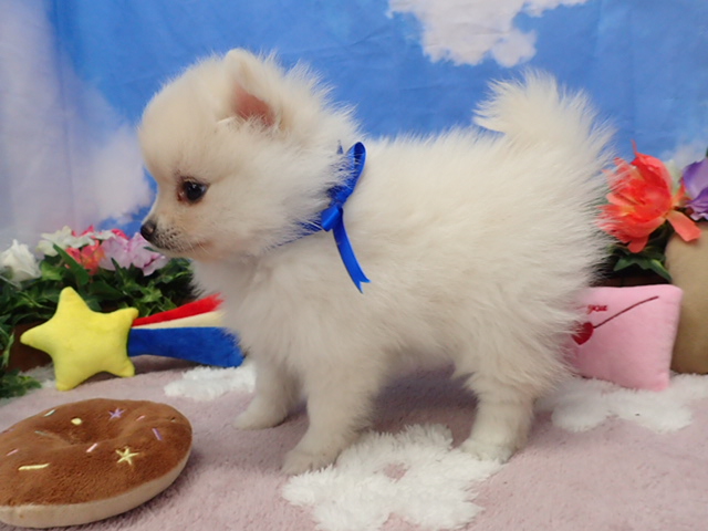 赤ちゃん写真3-2