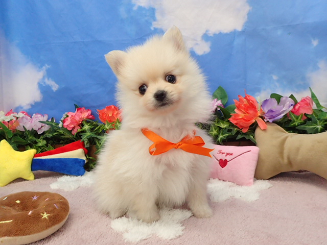 赤ちゃん写真3-1