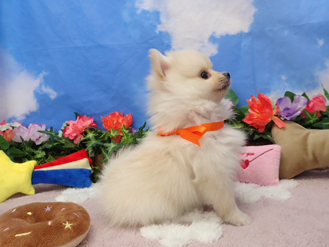 赤ちゃん写真3-2