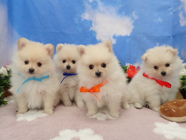 赤ちゃん写真3-3