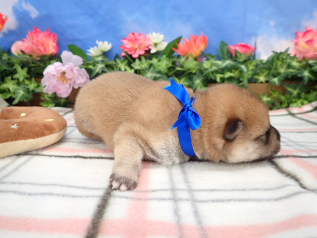 赤ちゃん写真1-2