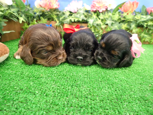 赤ちゃん写真1-3