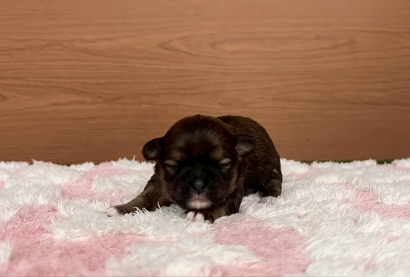 赤ちゃん写真1-1