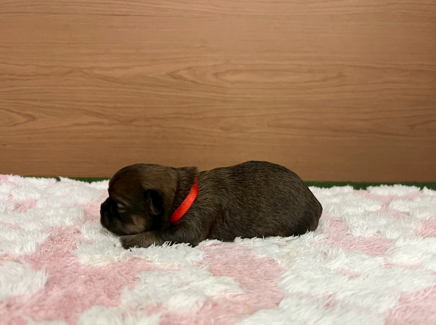 赤ちゃん写真1-2