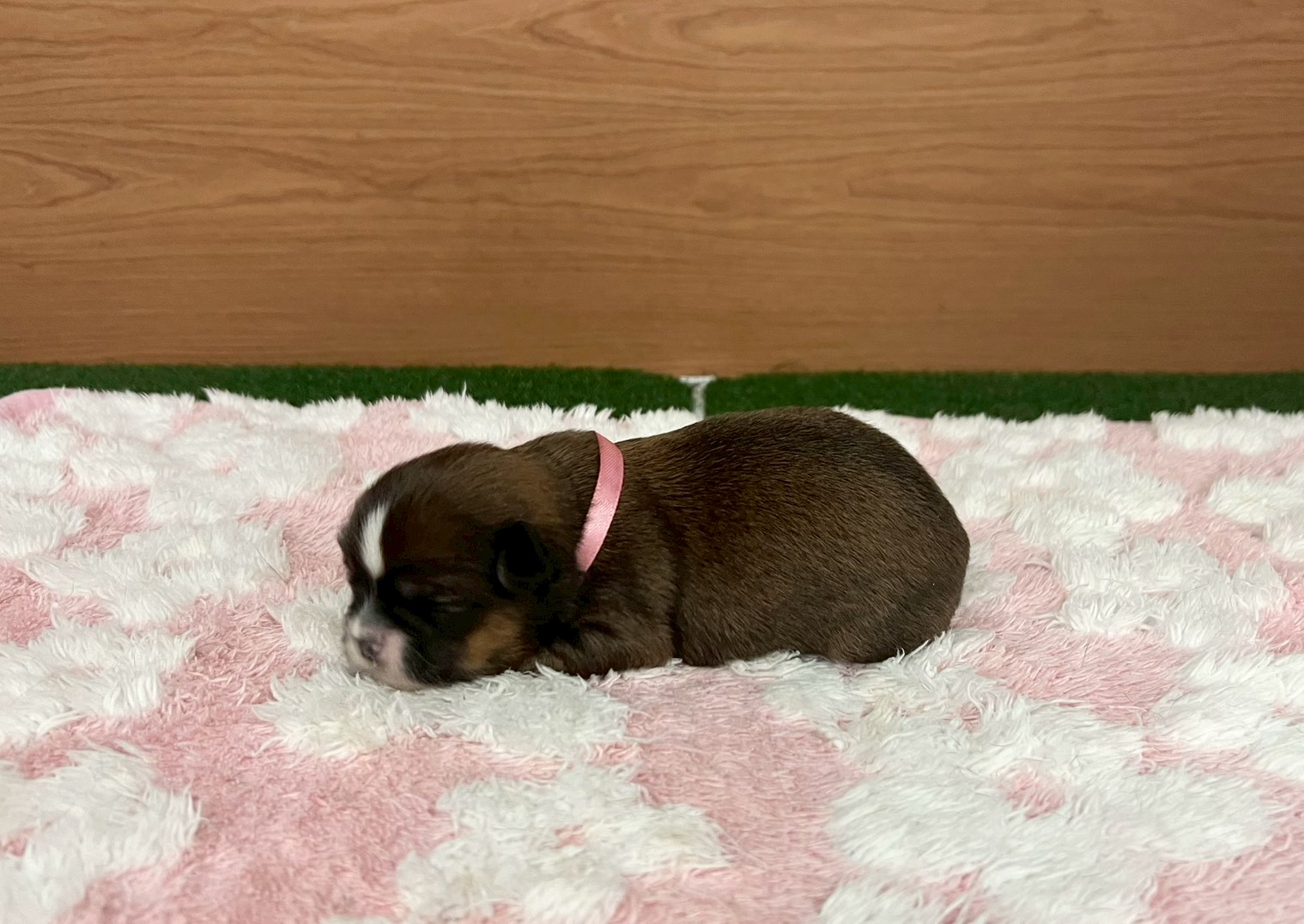 赤ちゃん写真1-2