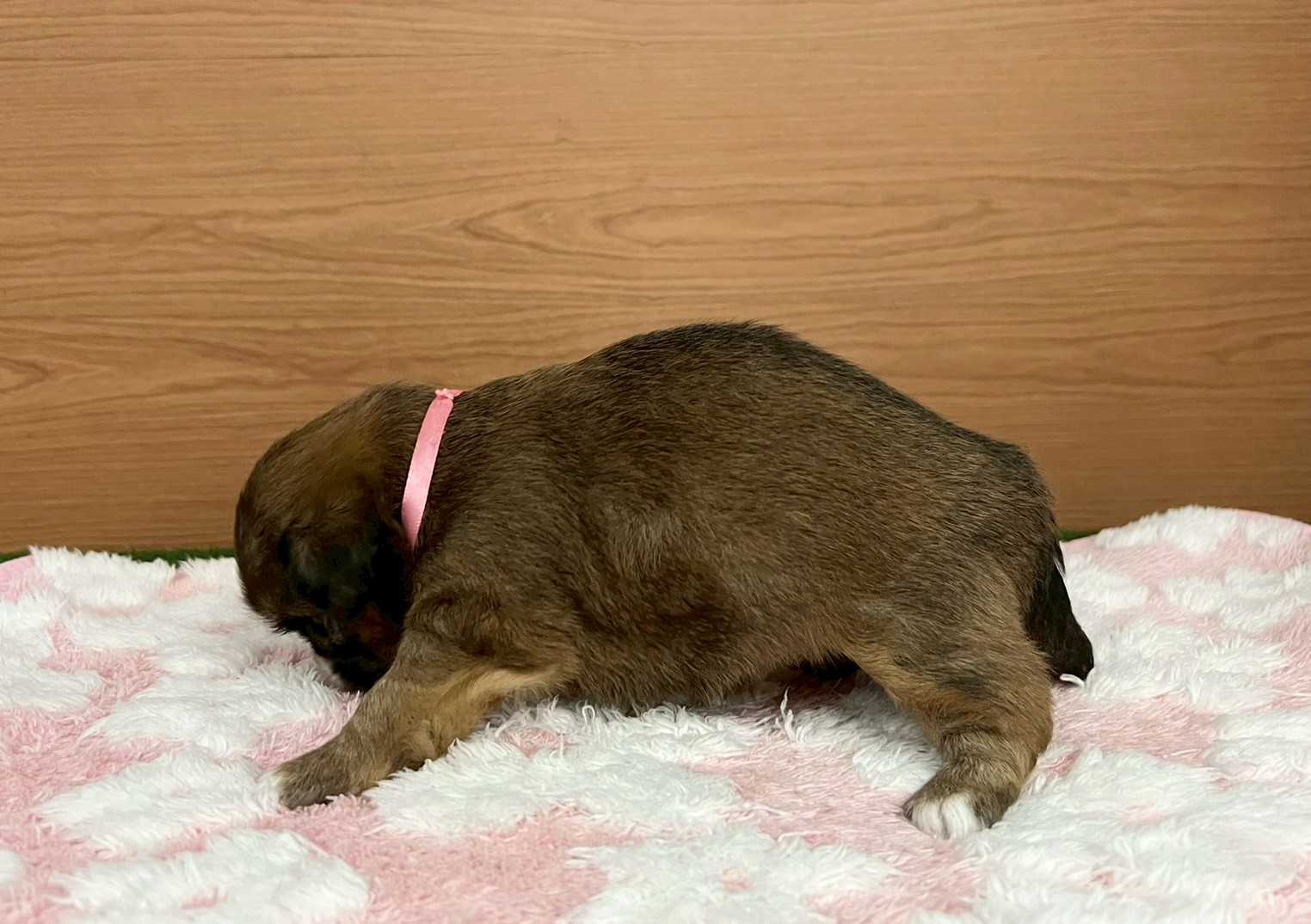 赤ちゃん写真2-2