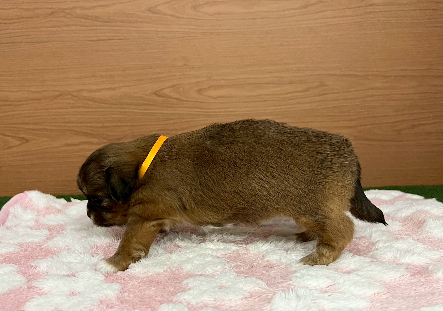 赤ちゃん写真2-2