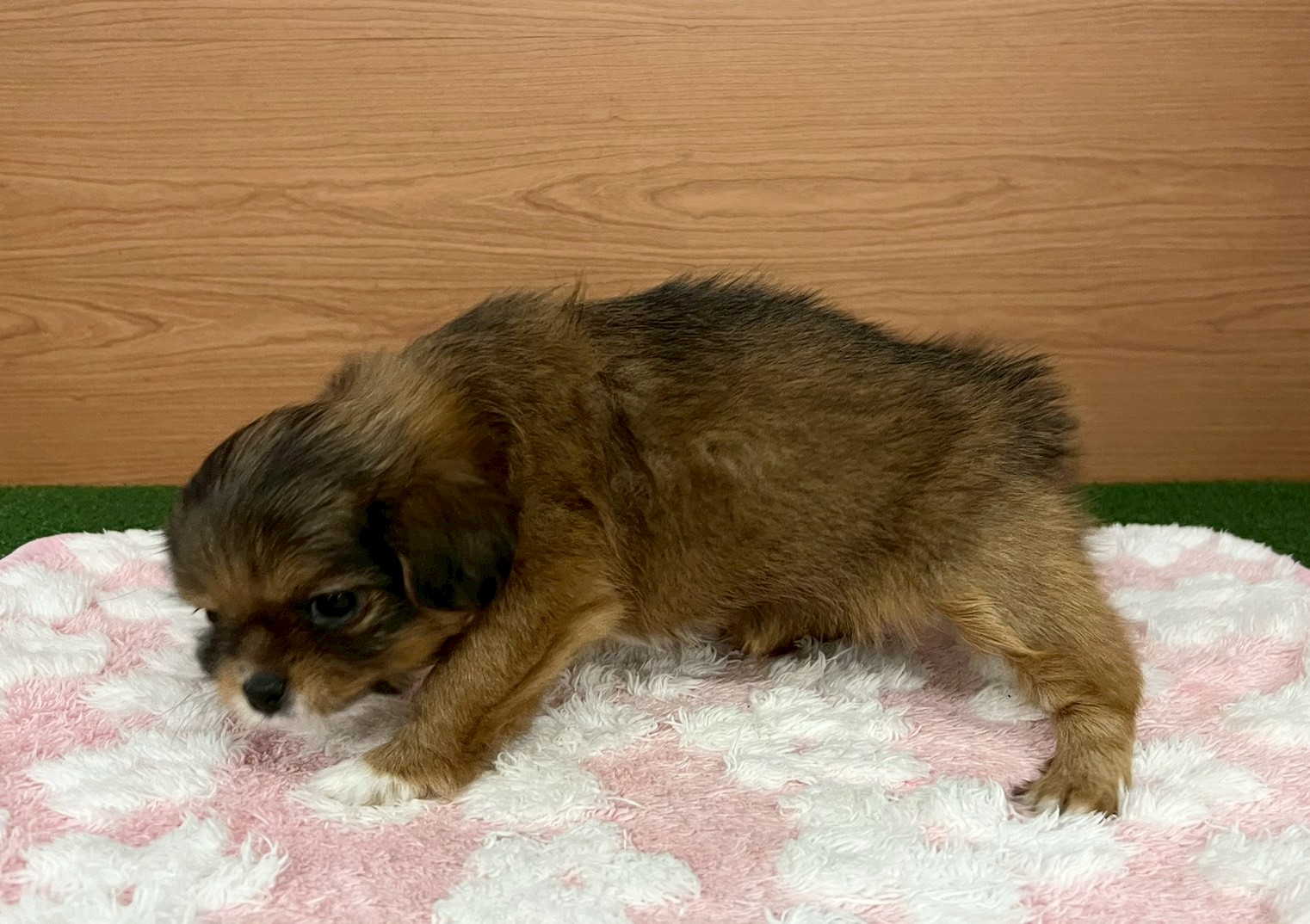 赤ちゃん写真3-2