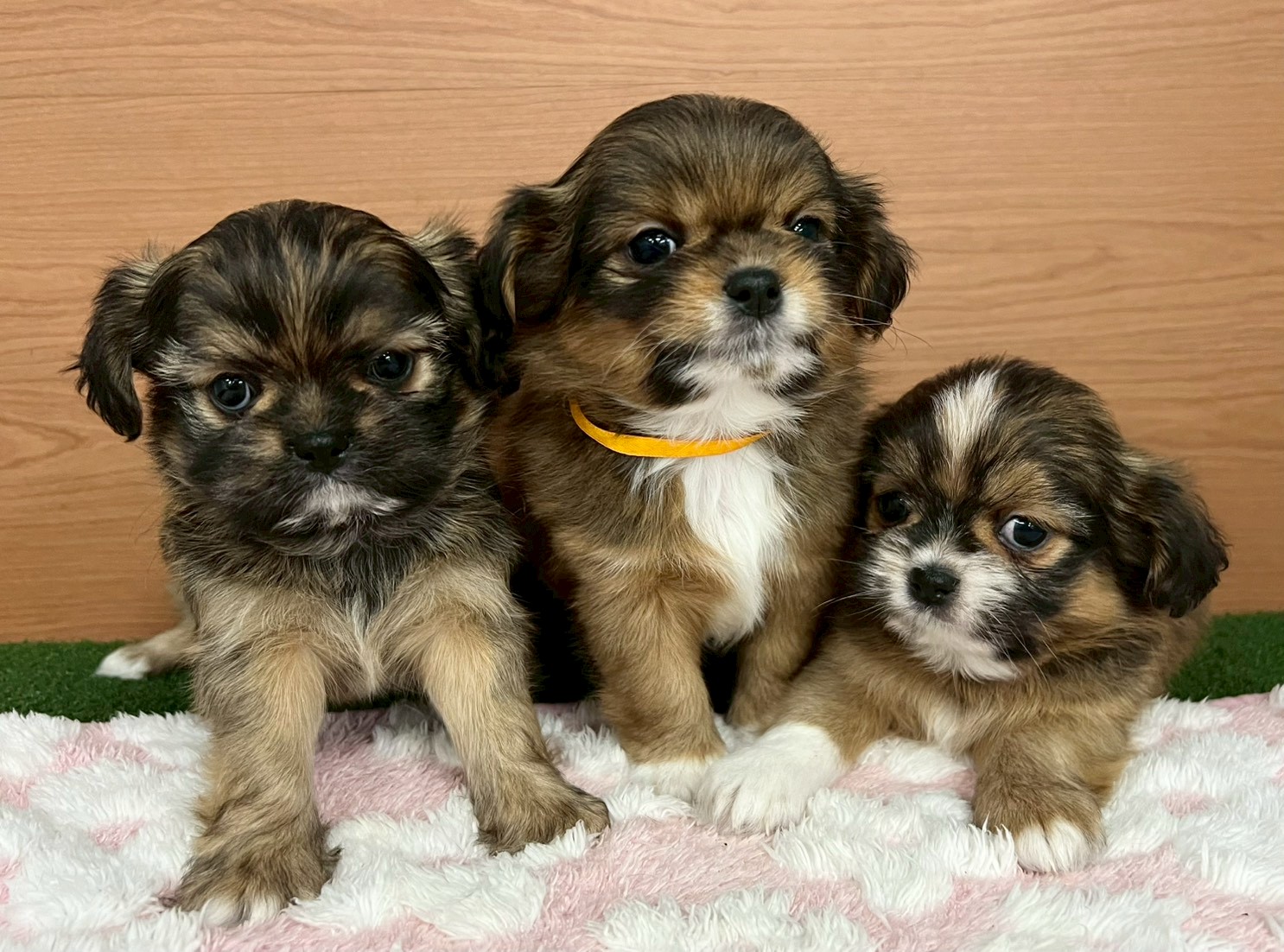 赤ちゃん写真3-3