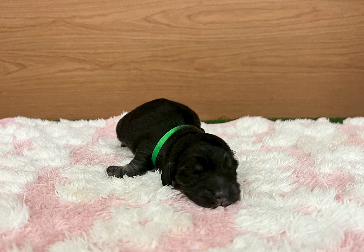 赤ちゃん写真1-1