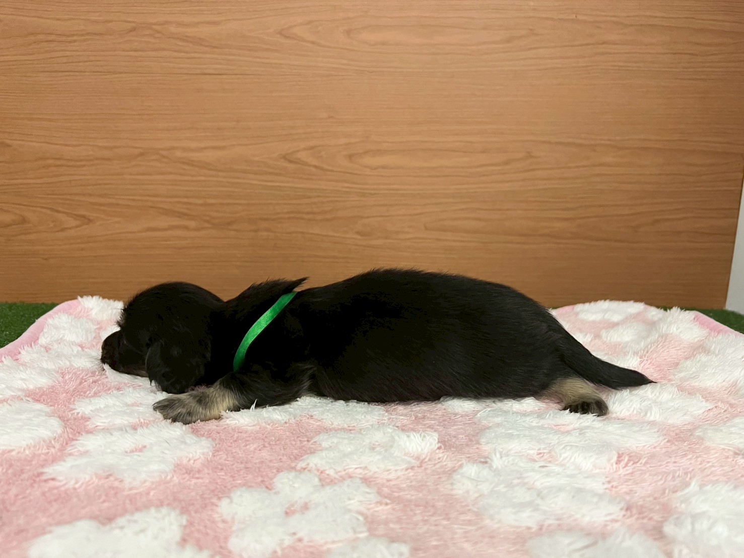 赤ちゃん写真2-2