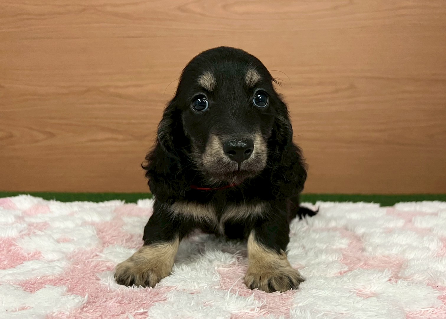 赤ちゃん写真3-1