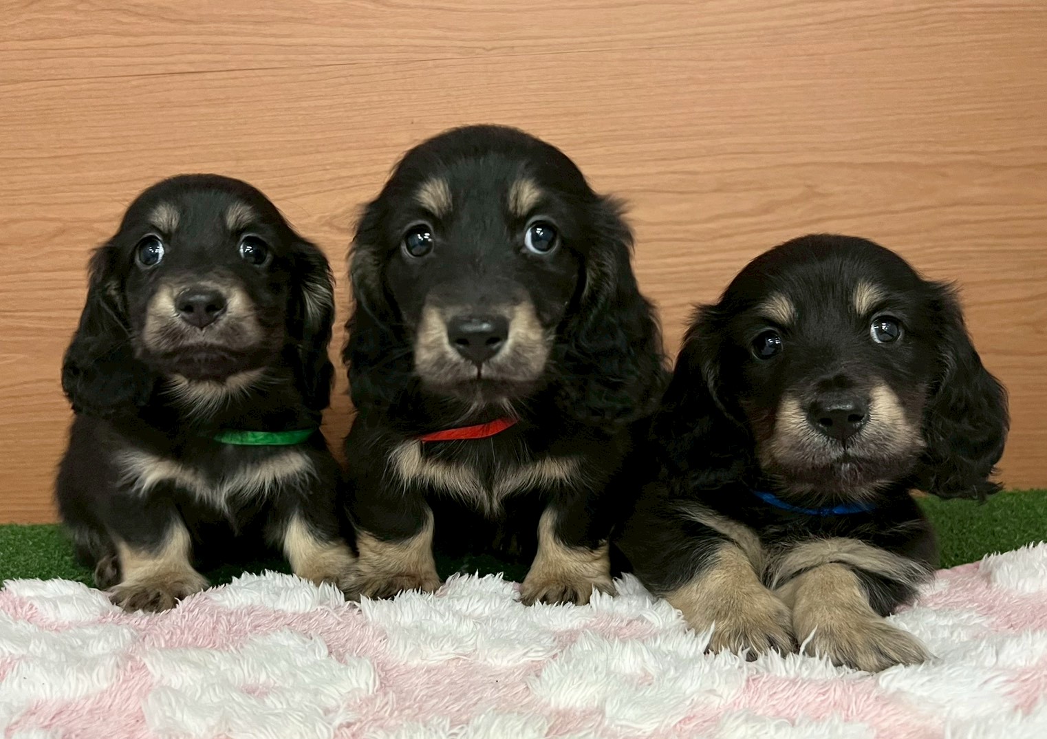 赤ちゃん写真3-3