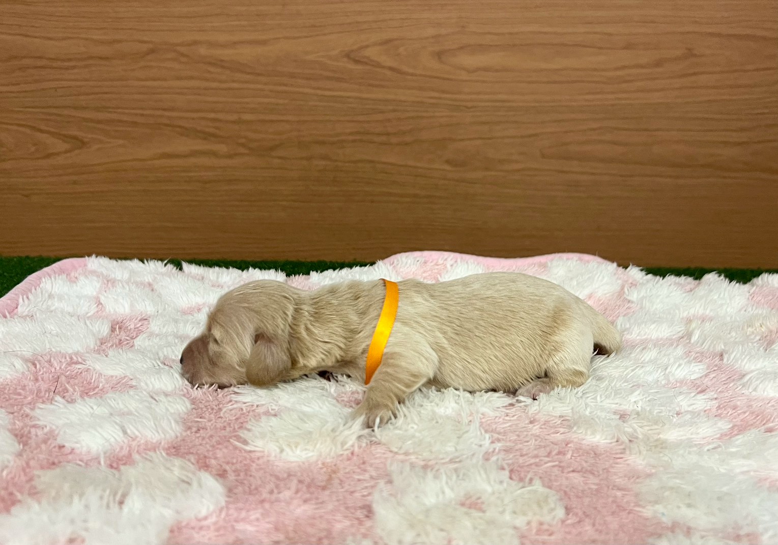 赤ちゃん写真1-2