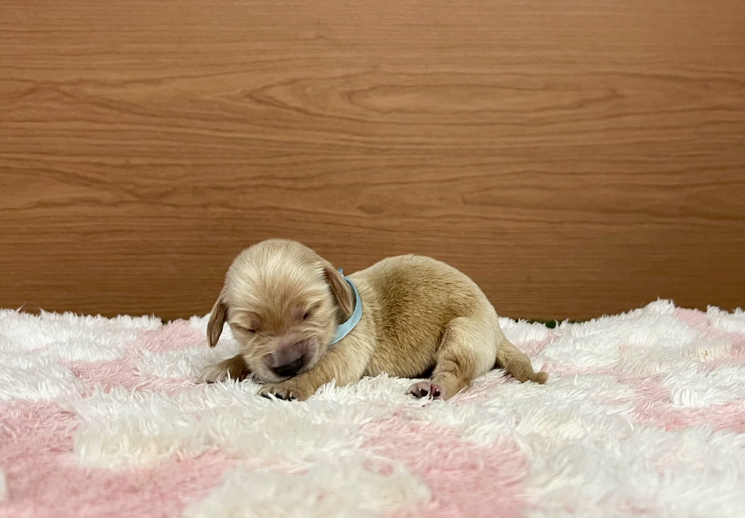 赤ちゃん写真1-1