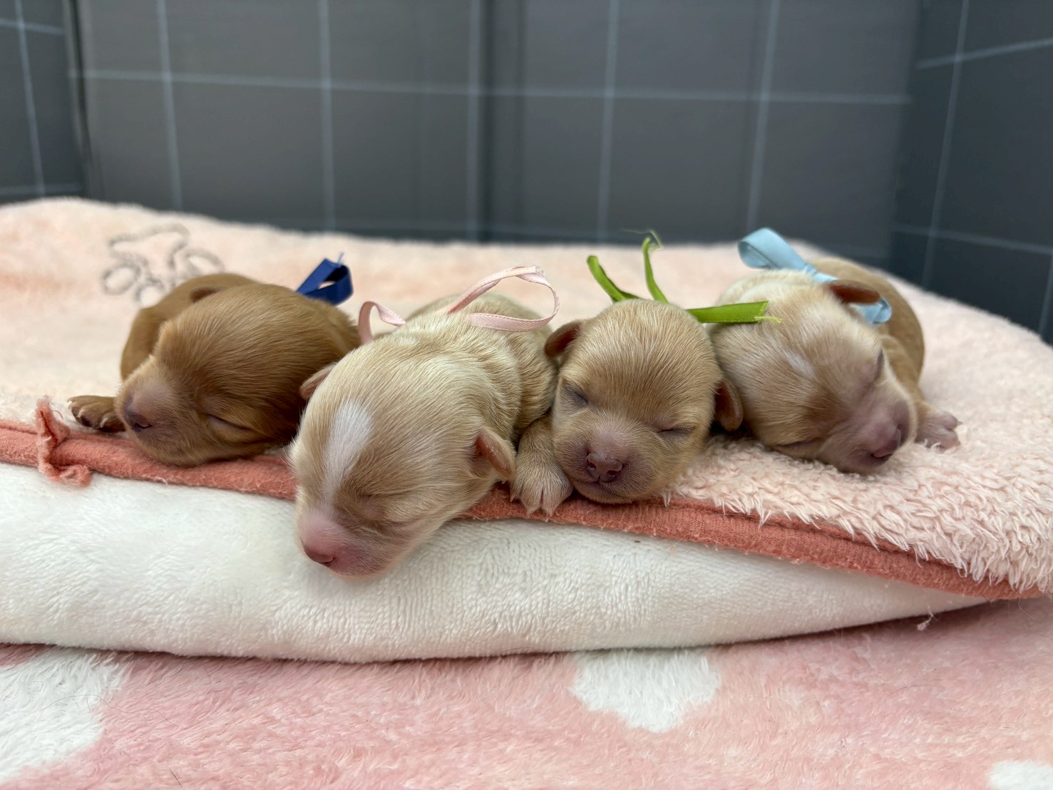 赤ちゃん写真1-3
