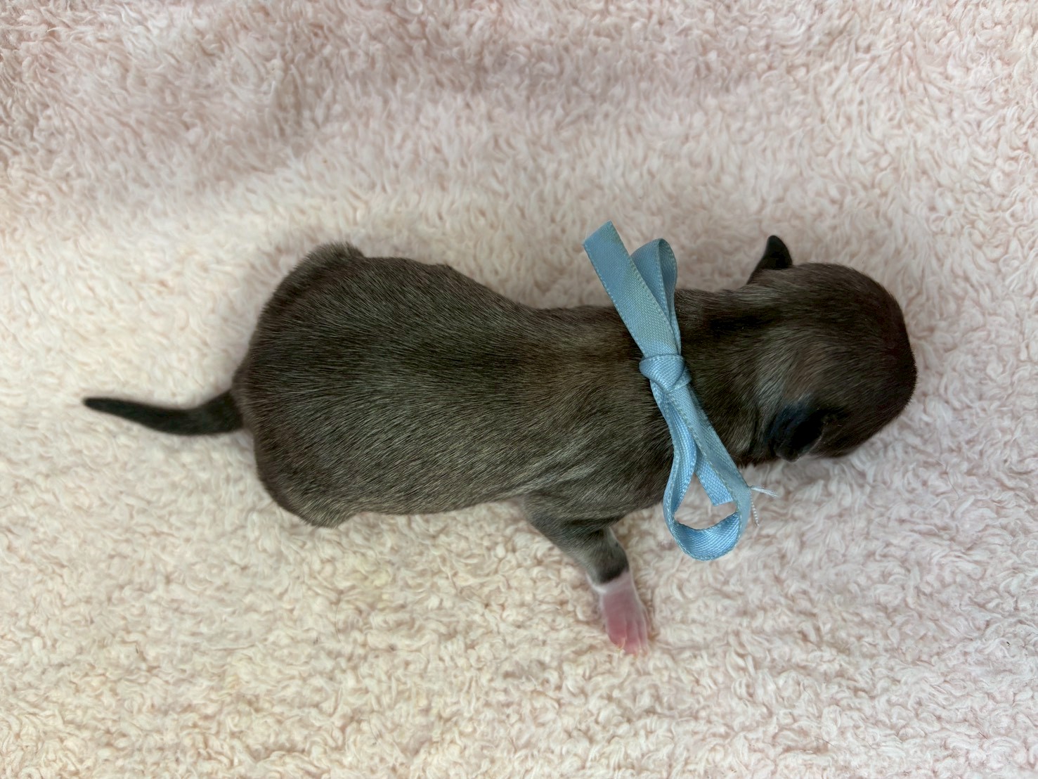 赤ちゃん写真1-3