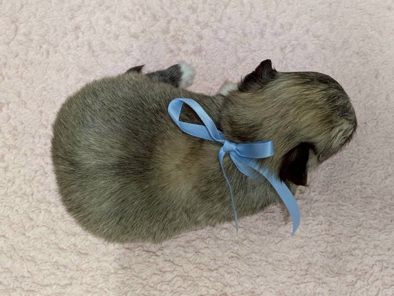 赤ちゃん写真2-3
