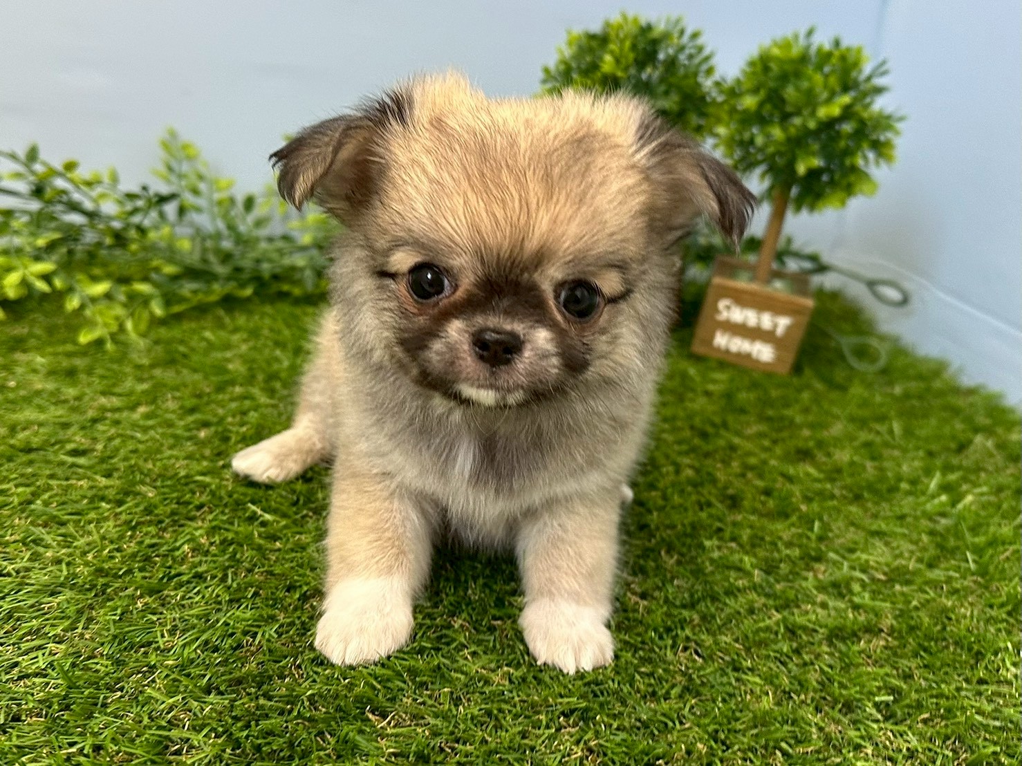赤ちゃん写真3-1