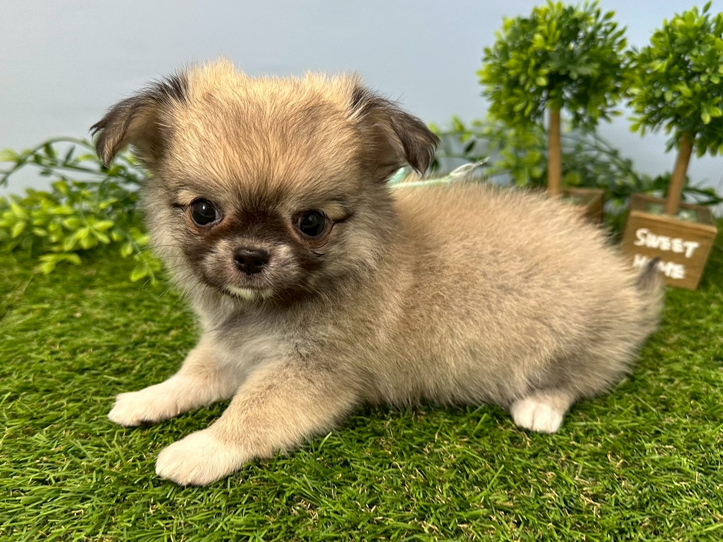 赤ちゃん写真3-2