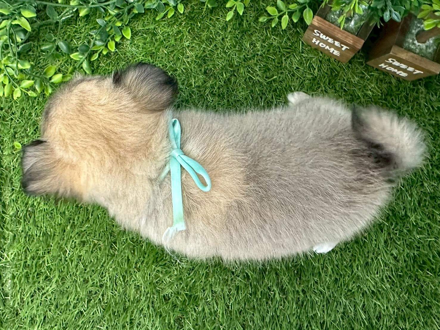 赤ちゃん写真3-3