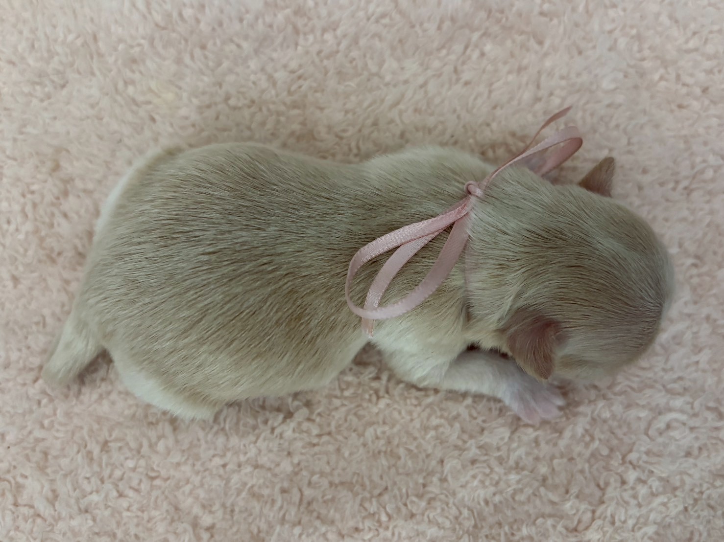 赤ちゃん写真1-3