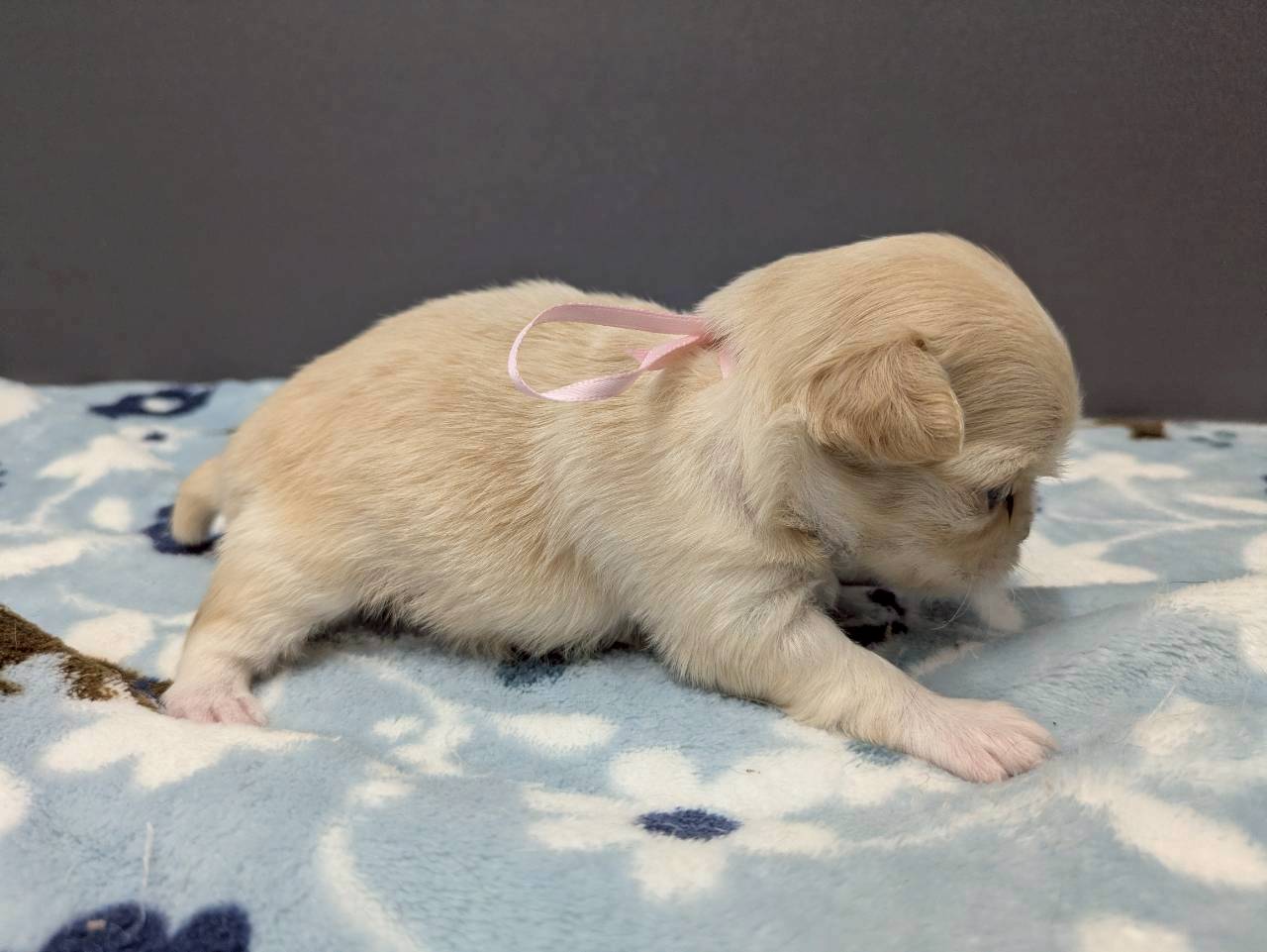 赤ちゃん写真2-2
