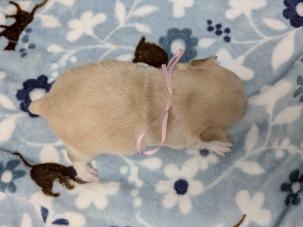 赤ちゃん写真2-3