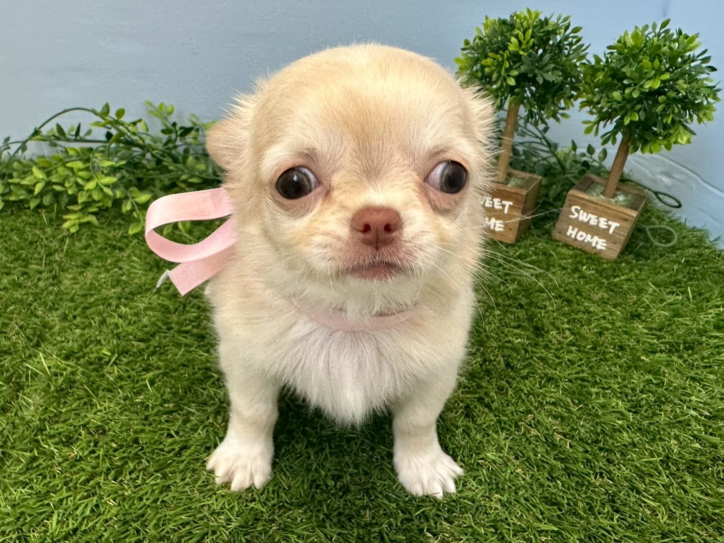 赤ちゃん写真3-1