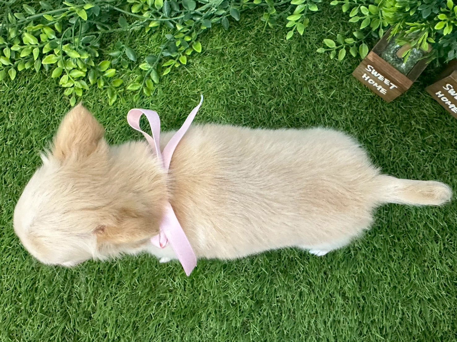 赤ちゃん写真3-3
