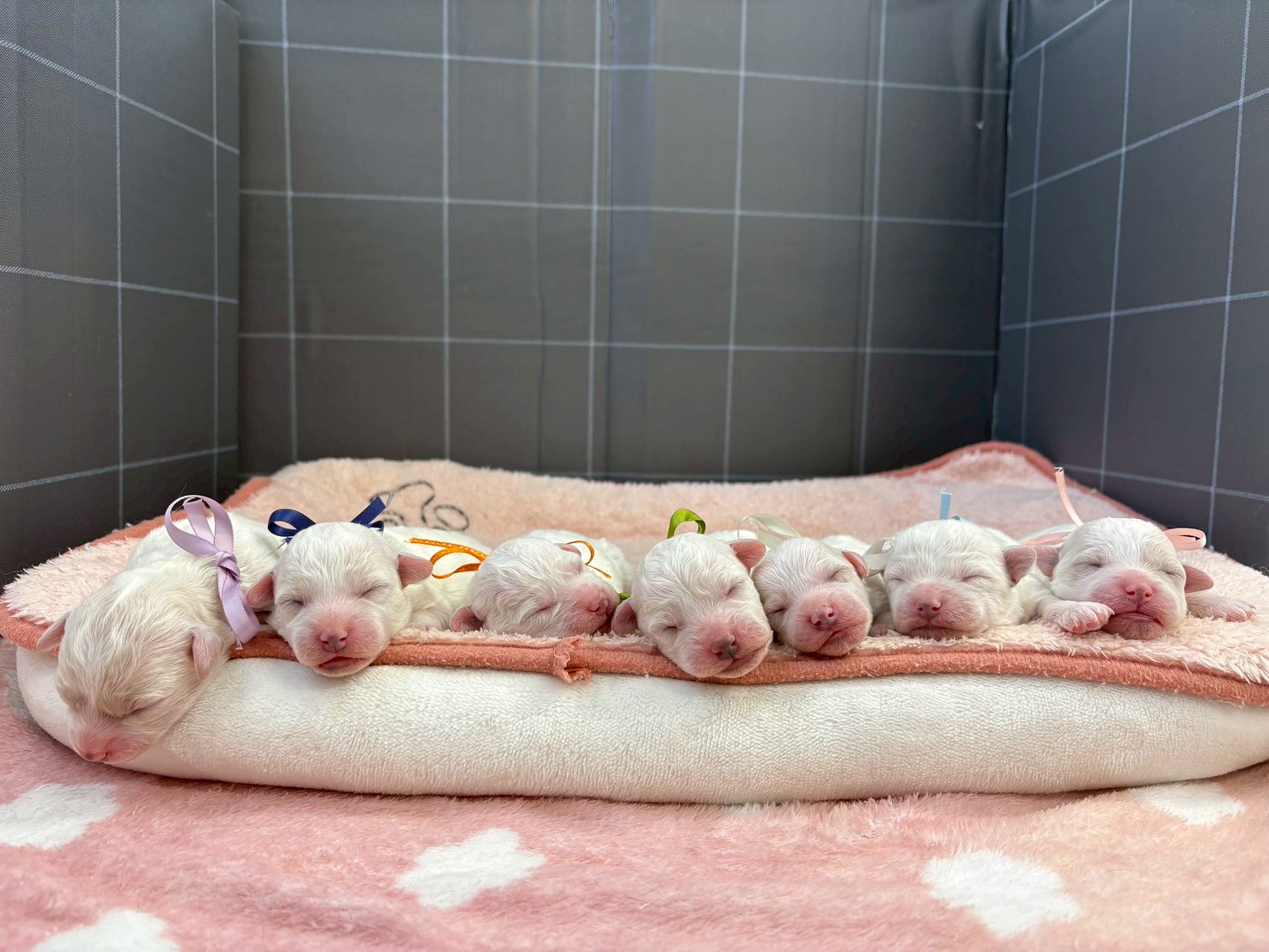 赤ちゃん写真1-3