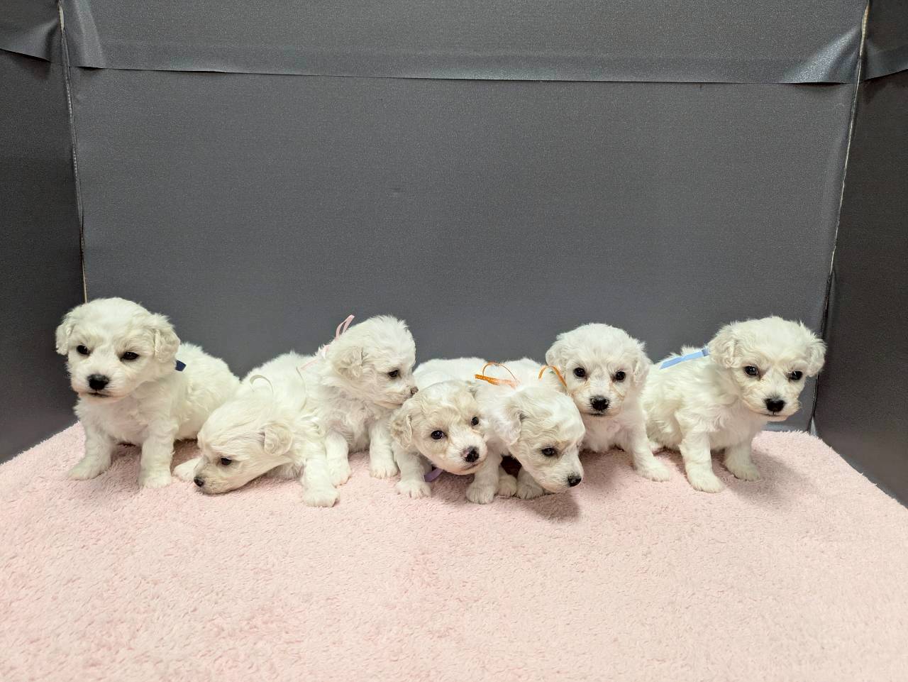 赤ちゃん写真2-3