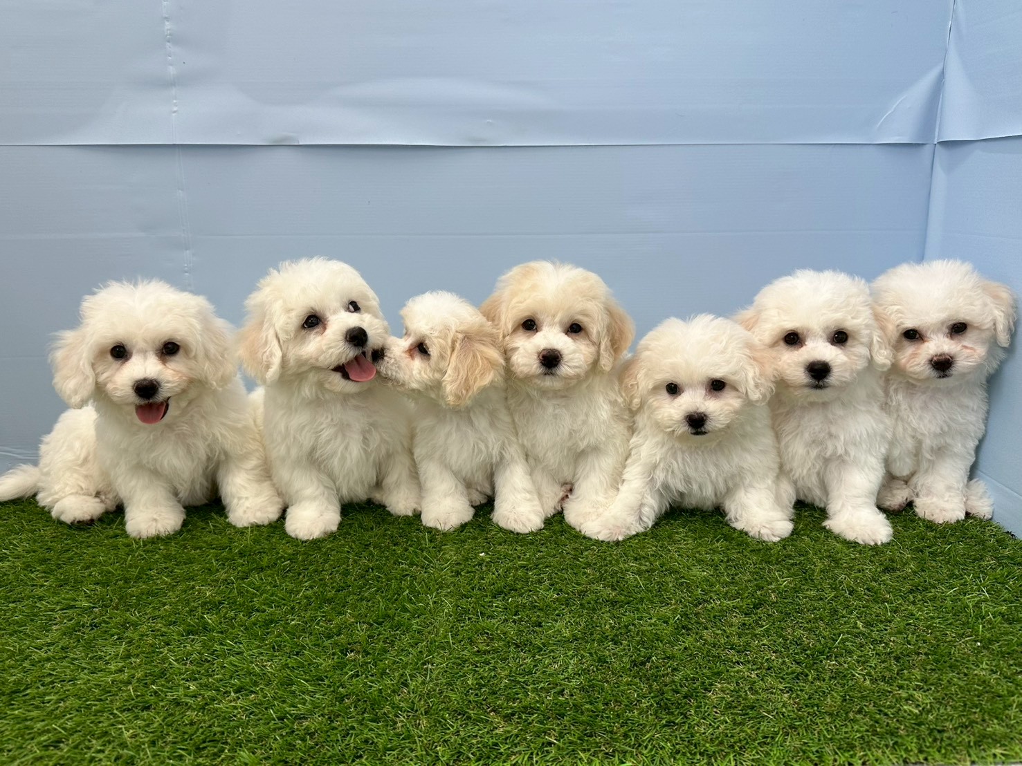 赤ちゃん写真3-3