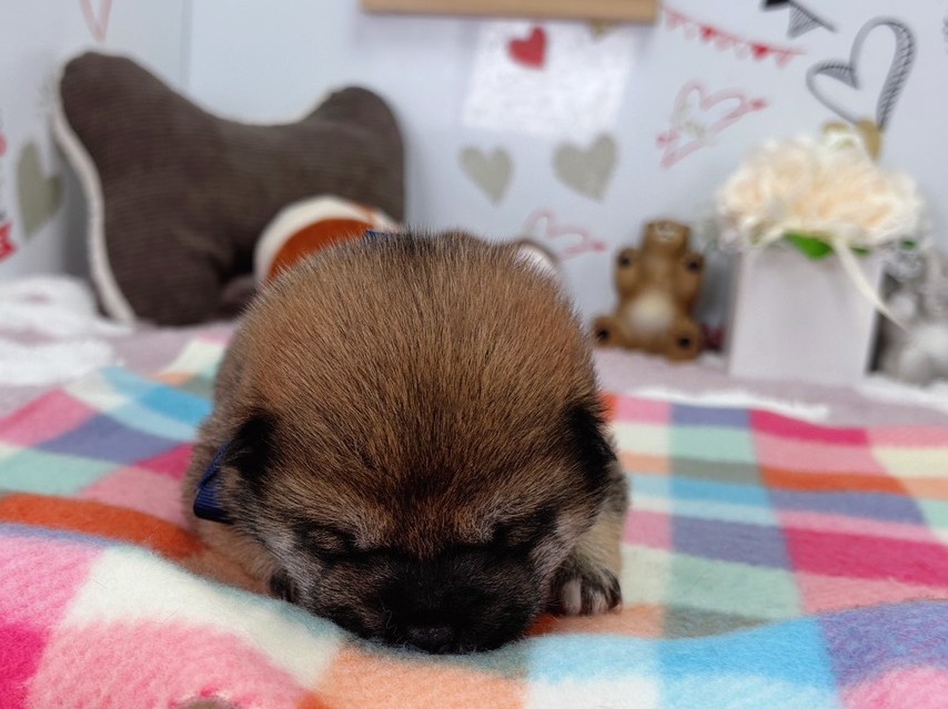 赤ちゃん写真1-1
