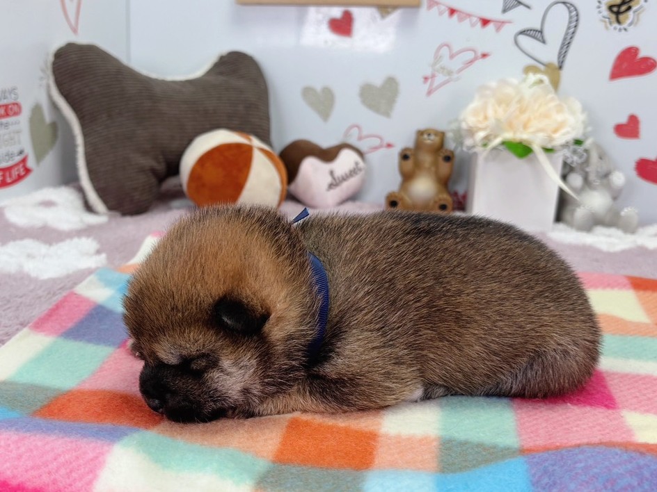 赤ちゃん写真1-2