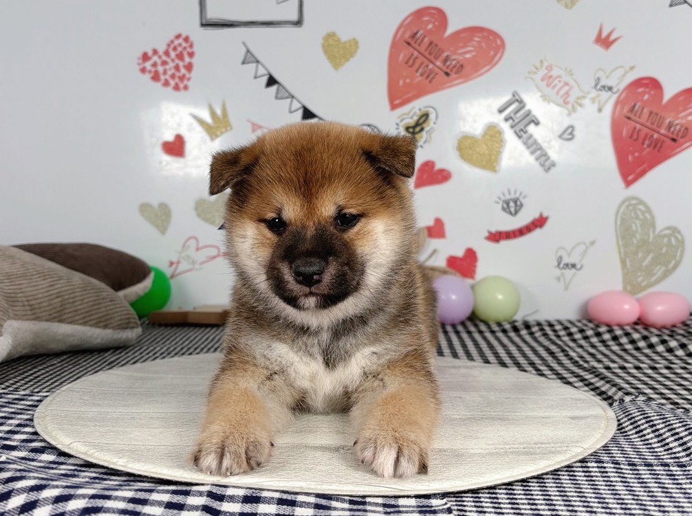 赤ちゃん写真2-1