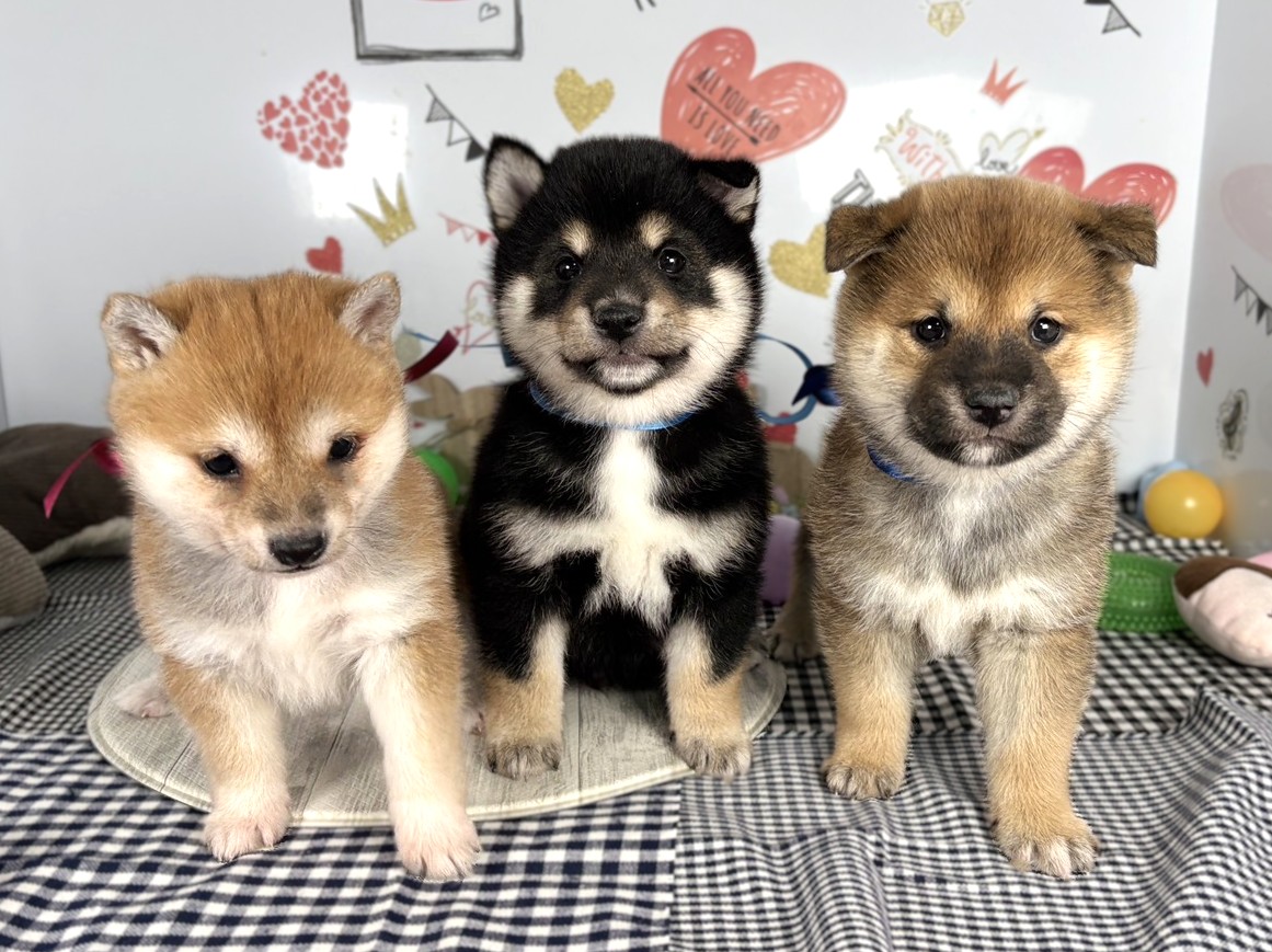 赤ちゃん写真2-3