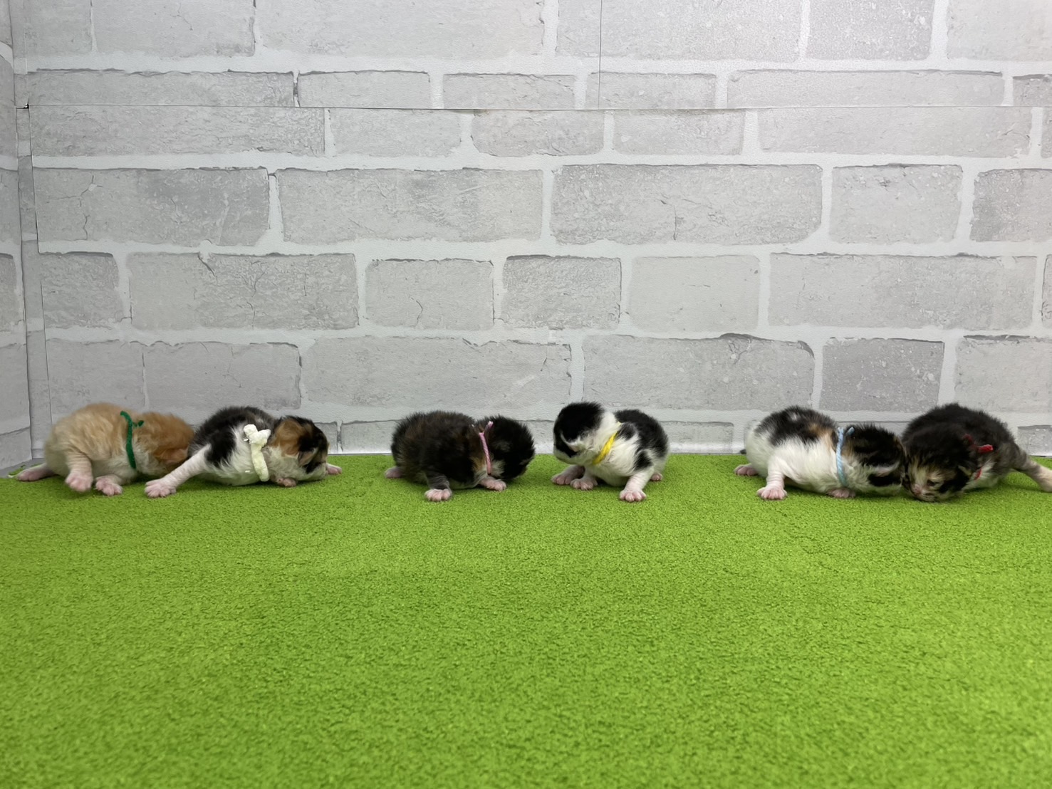 赤ちゃん写真1-3