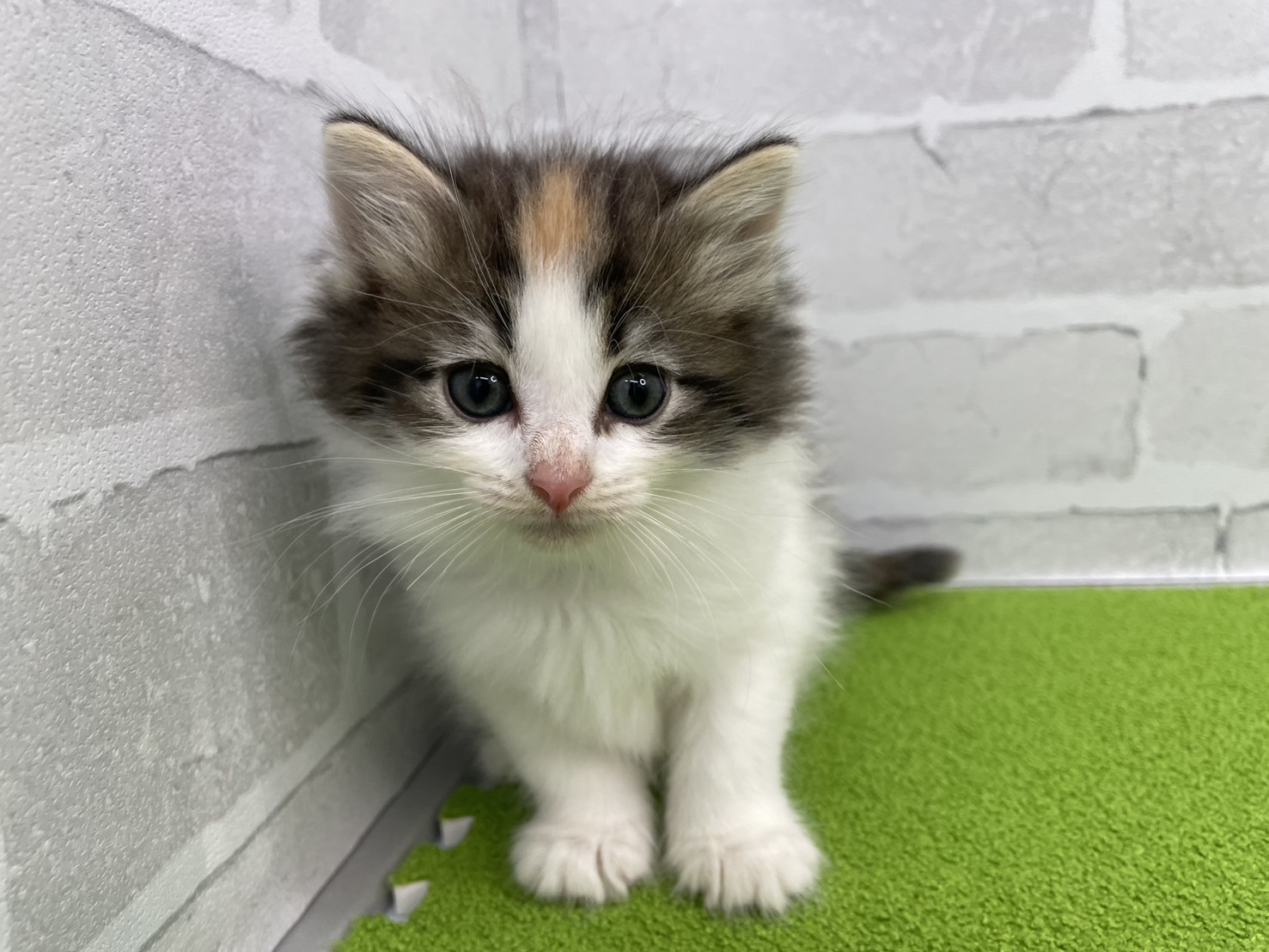 赤ちゃん写真2-1