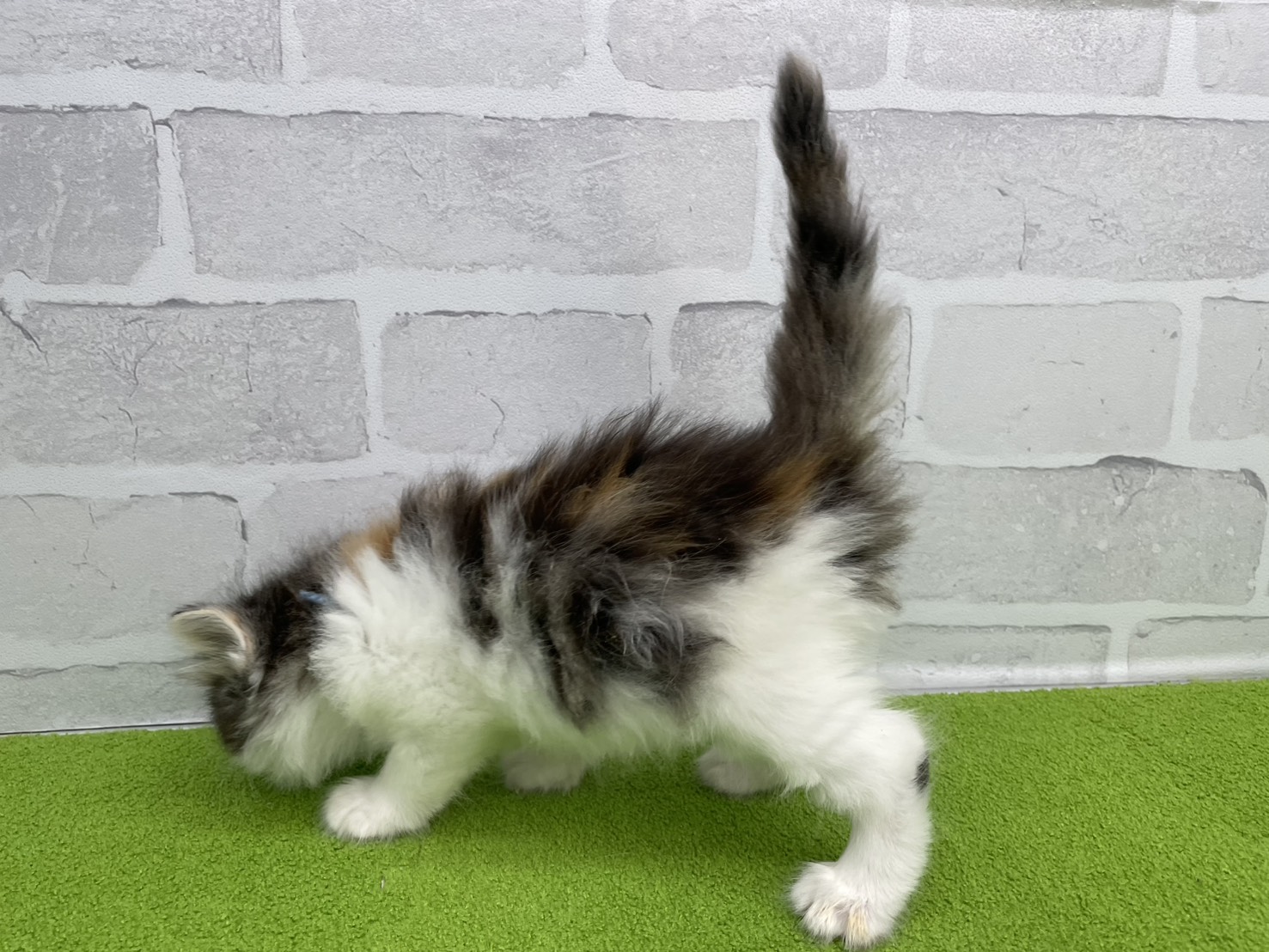 赤ちゃん写真2-2