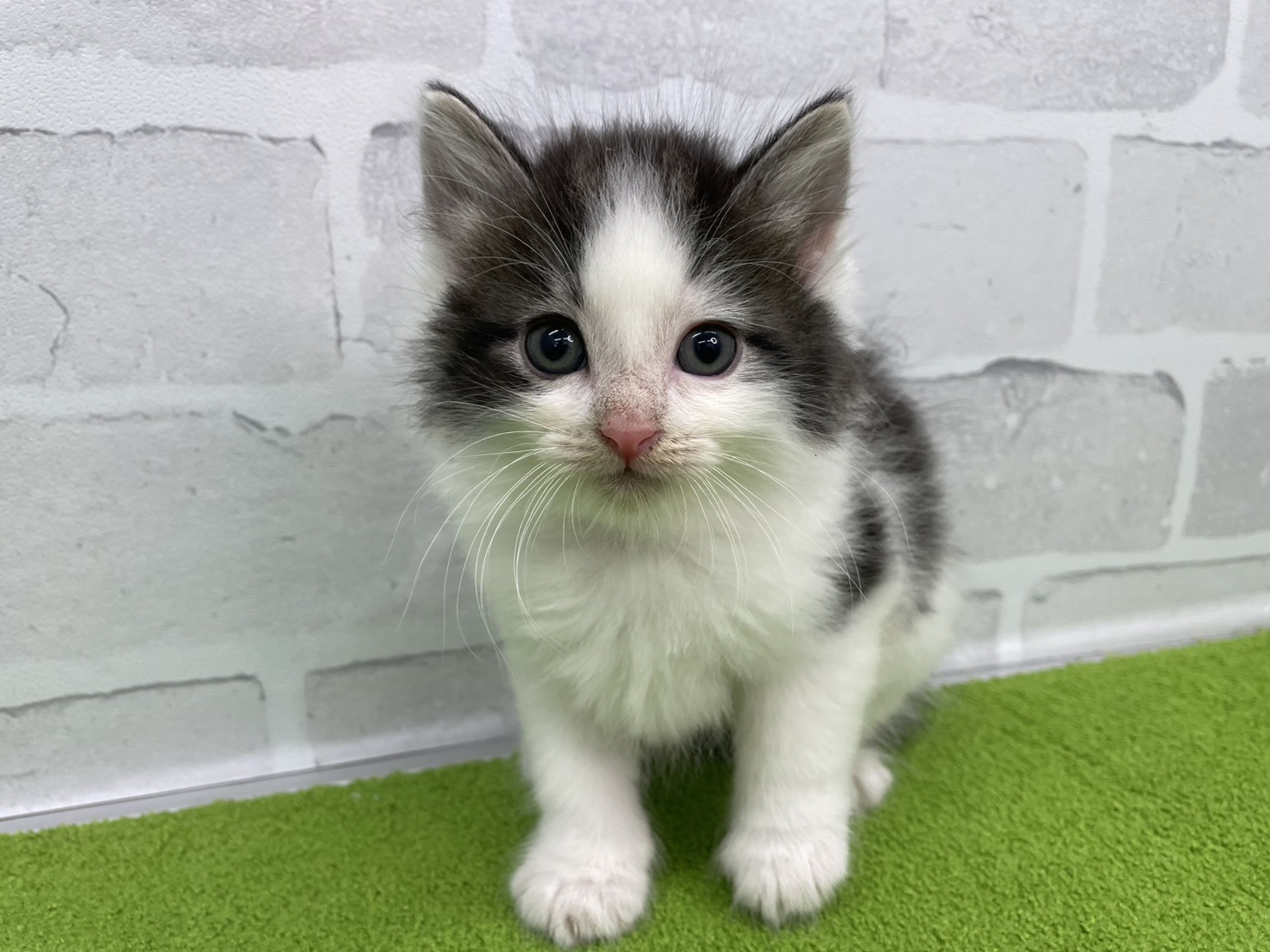 赤ちゃん写真2-1