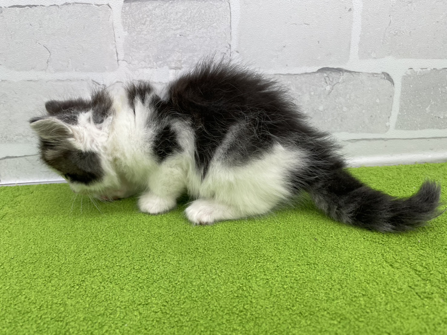 赤ちゃん写真2-2