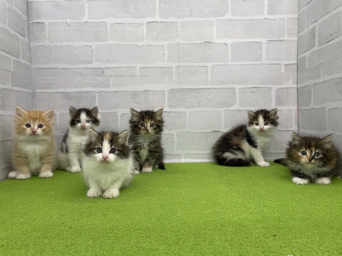 赤ちゃん写真2-3