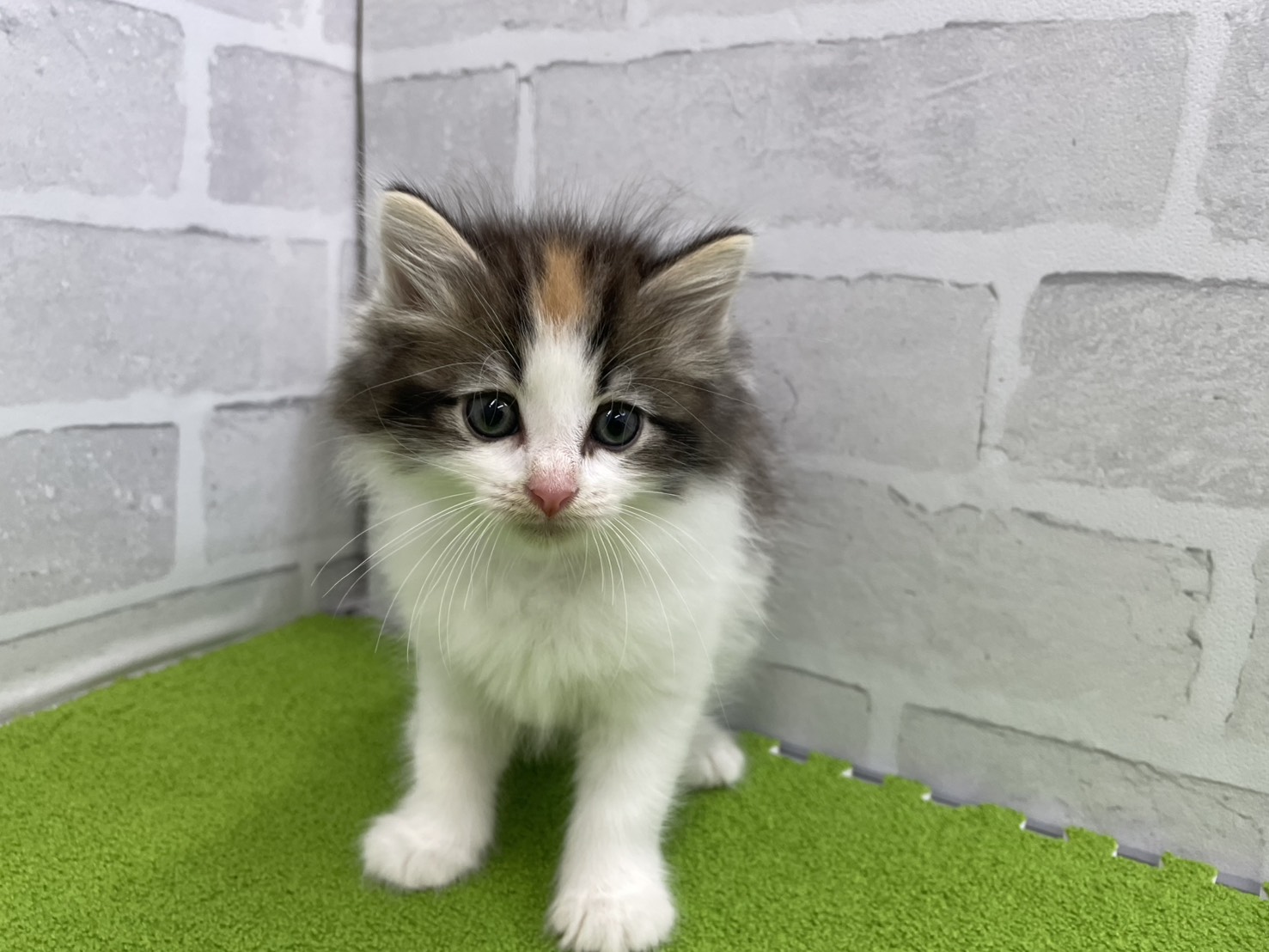 赤ちゃん写真3-1