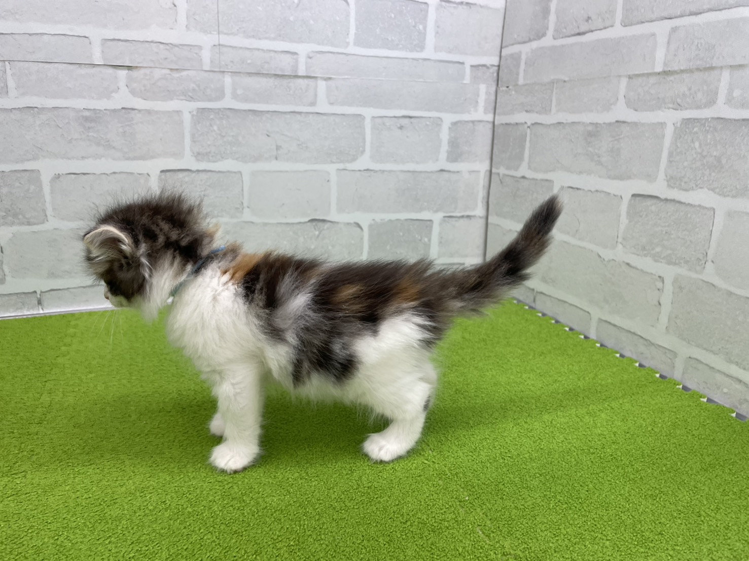 赤ちゃん写真3-2